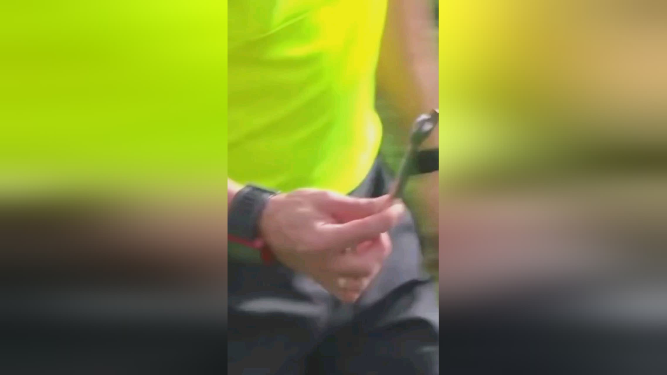 非空穴来风